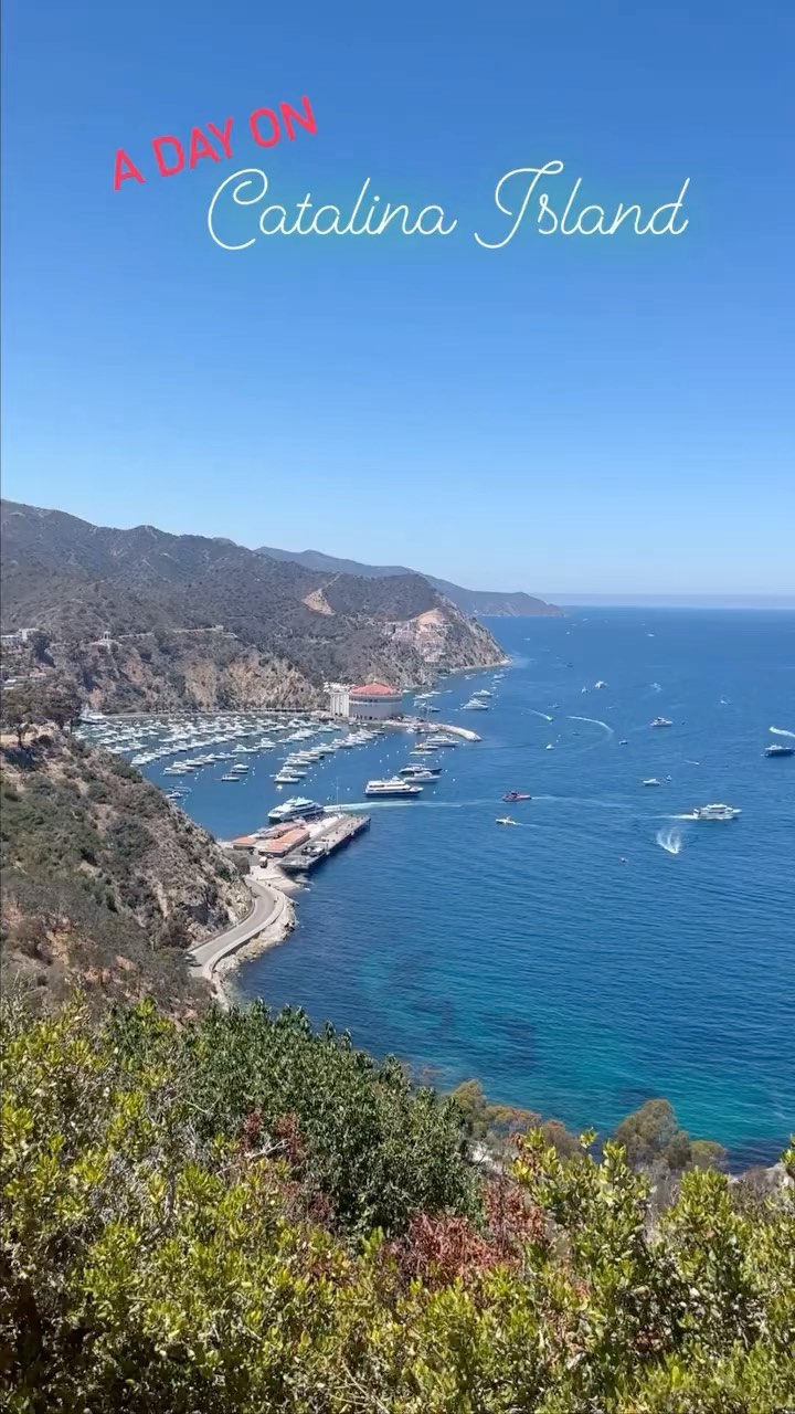 A day on Catalina Island 🤩
@lovecatalinaisland