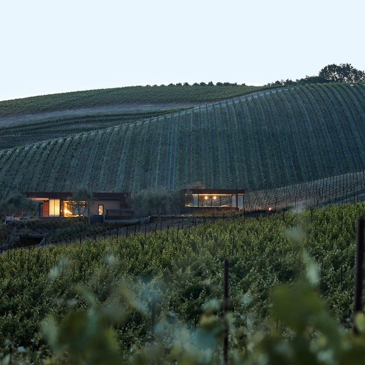 Winery of the Week: @bookervineyard 🍷 Booker Vineyard is a game-changer for Paso Robles. While the region has long noted it isn’t going for the larger-than-life opulence of Napa, a little WOW factor never hurt anyone. Read more at FabulousCalifornia.com. {link in bio}