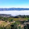 Smith-Madrone Vineyards - WOW shot