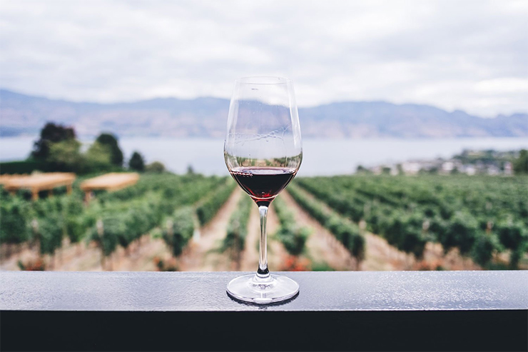 temecula-cable-car-wine-tour-wine glass