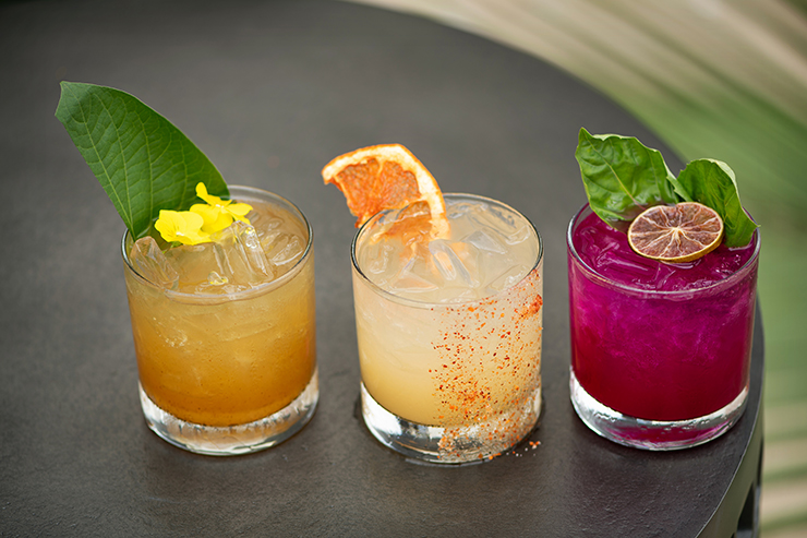 san-diego-cocktails