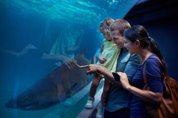 Indoor-Attractions-for-Kids-in-San-Diego