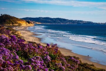 san diego beach stock