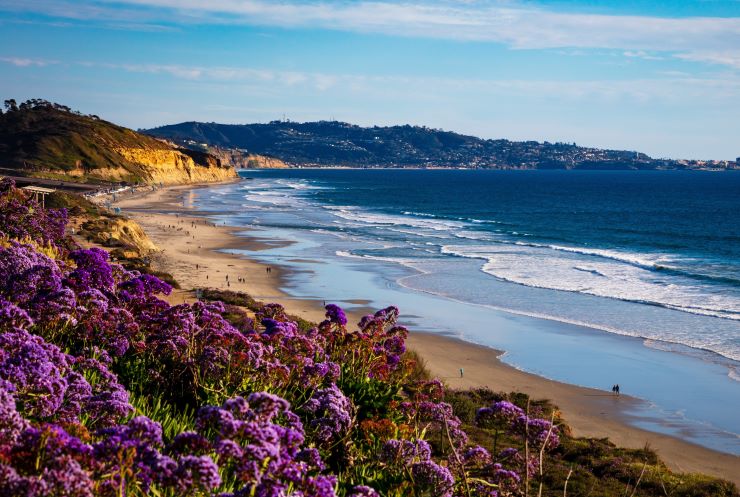 san diego beach stock